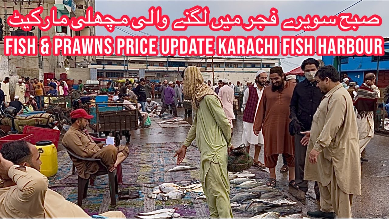 FISH & PRAWNS PRICE UPDATE KARACHI FISH HARBOUR MARKET March 8, 2026