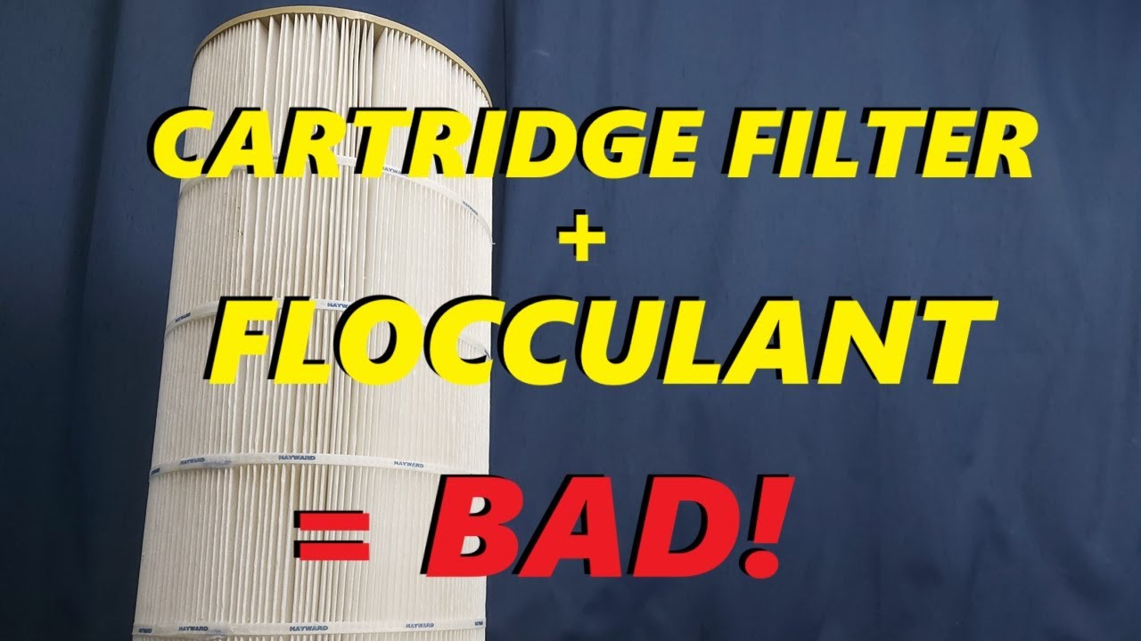 Can You Use Flocculant With A Cartridge Filter: Expert Tips