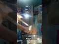 an comido así el arroz frito #cocina #viral #canaldecocina #elmundo #todoelmundo