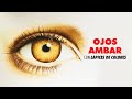 Cómo dibujar un ojo realista color ambar / How to draw realistic ambar color eyes with color pencil