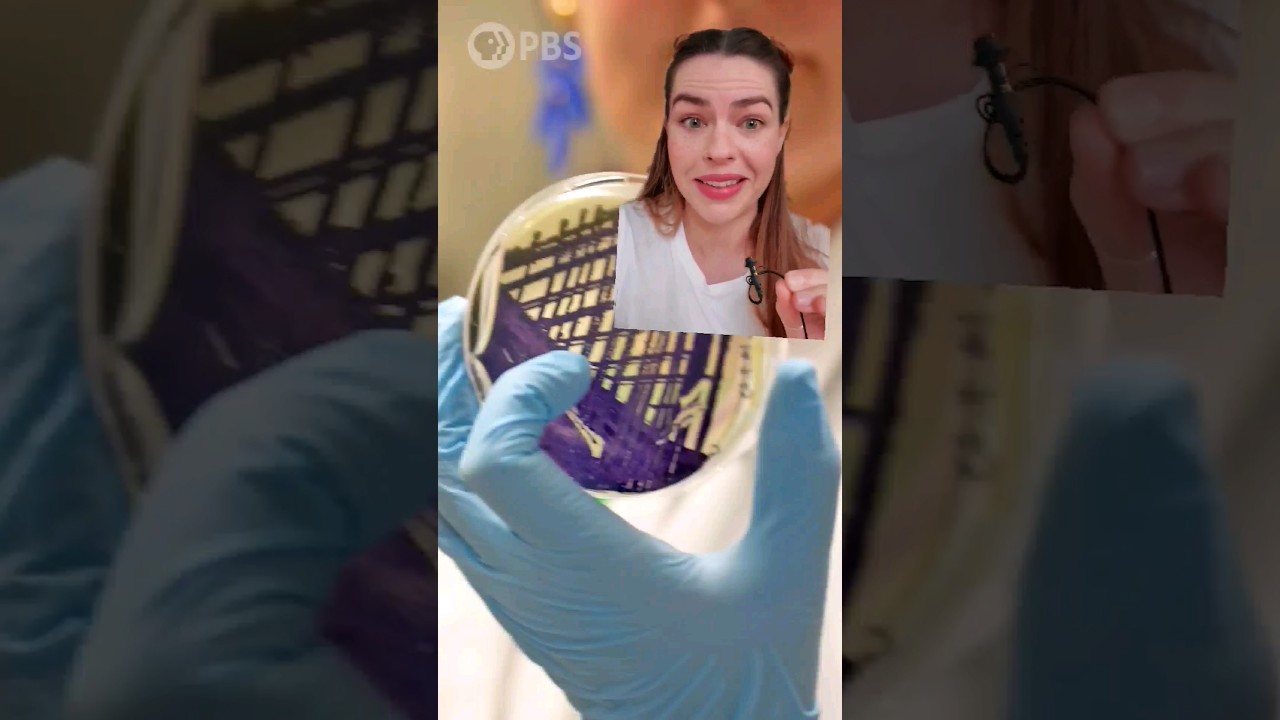 Bacteria Can Help Fashion Clean Up Its Act