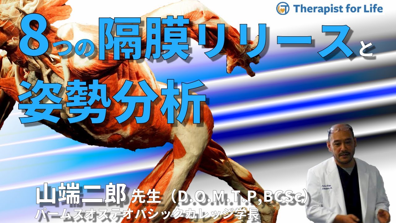 膜バランシング全4巻！ドクターケリー ダンブロジオ！オステ！カイロ 