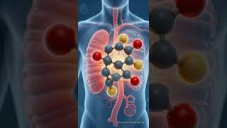 Black Cumin Seeds: Ancient Immunity Booster