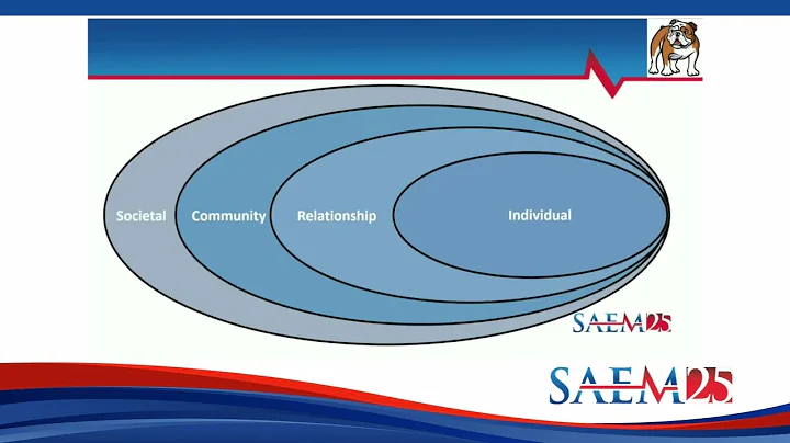 Firearm Morbidity and Mortality in the United States and Beyond Critical Research and Public Health