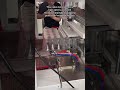 High-Efficiency Automated Bottle Shrink Wrapping