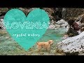 A visit to the unreal Tolmin Gorges - Slovenia by Van