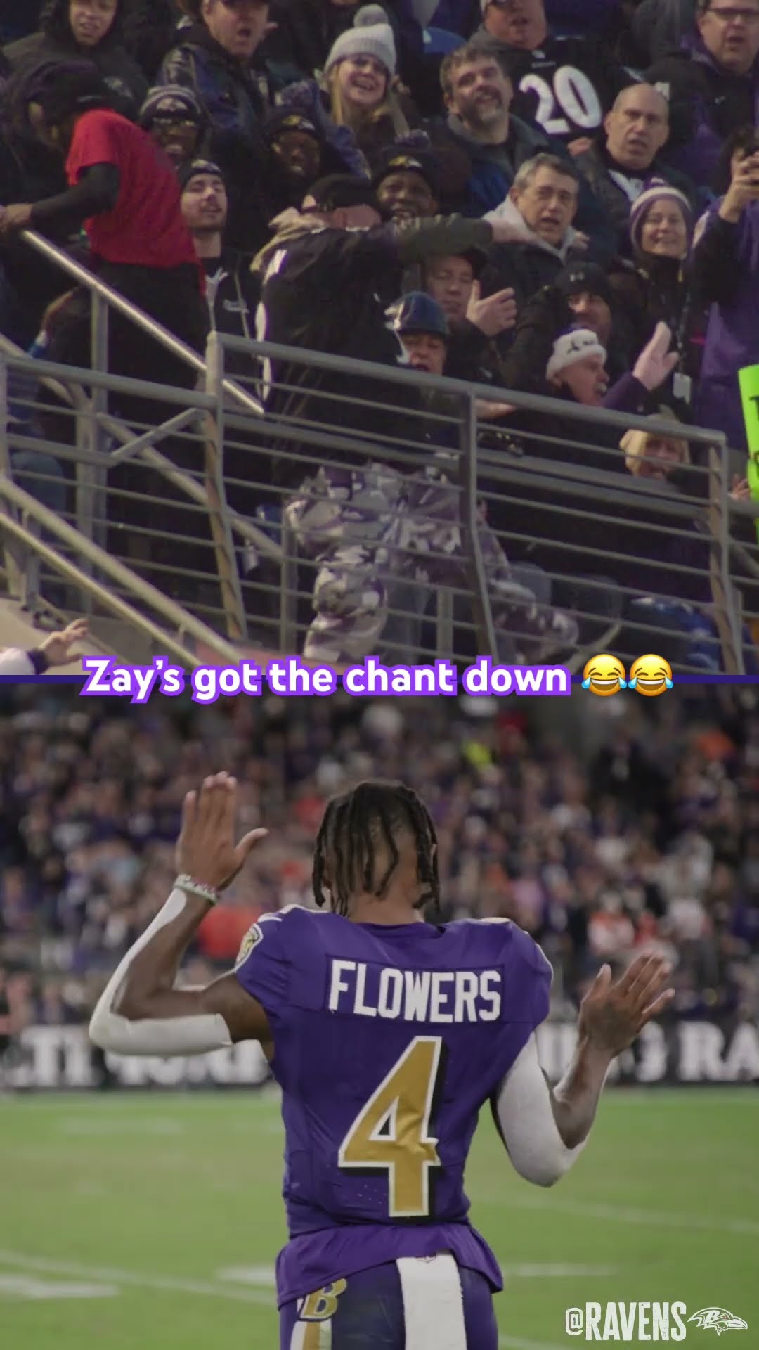 Zay ?Real Fan Dan #shorts #ravens #nfl