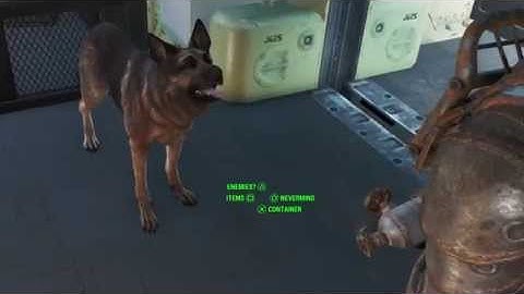 Cryolator Dogmeat Glitch - Fallout 4