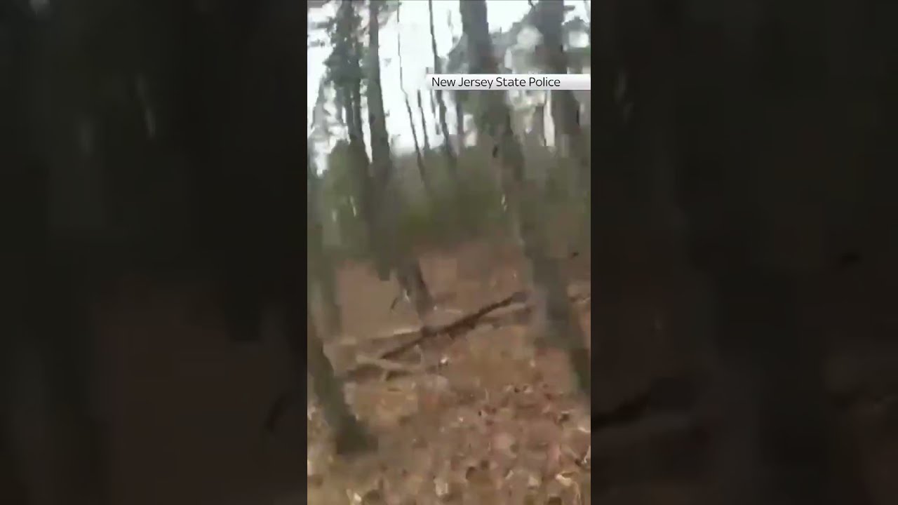 Moment Police Find Little Boy Lost In Woods