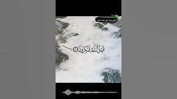 🤍🕊عبد الباسط عبد الصمد | سورة الانبياء