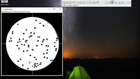 Image J - Bacterial Colony Counting by Şeyda Nur GİRGİN