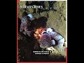 Two men killed in suspected gold mining incident