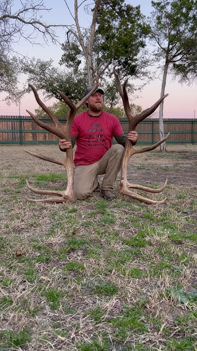 monster-bull-elk-sheds-found-what-does-he-score-bull-elk-sheds