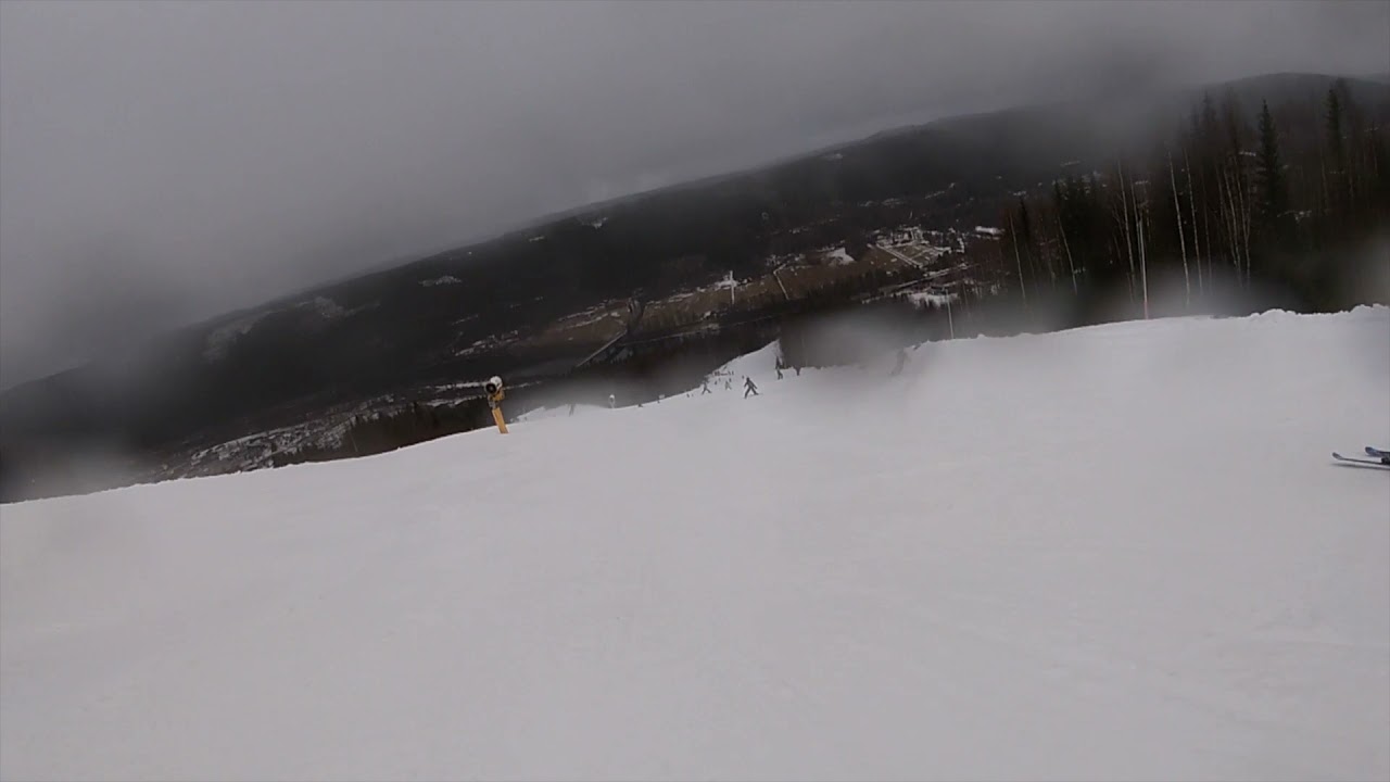 Alsen 2020 compilation