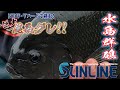 2022 NEW ・トルネードVハードで挑む！　西森＆北村編　高知県・鵜来島