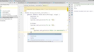 learn Java Step by Step 13  Using boolean variable