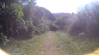 草山雷達站 迷路誤闖登山步道NO.5