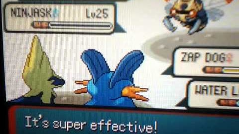 Pokemon Emerald Walkthrough Part 40: Team Aqua and the Weather Institute