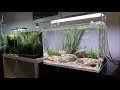 River Bottom Aquascape Tutorial - Easy Aquascape added to the Aquarium Gardens Showroom