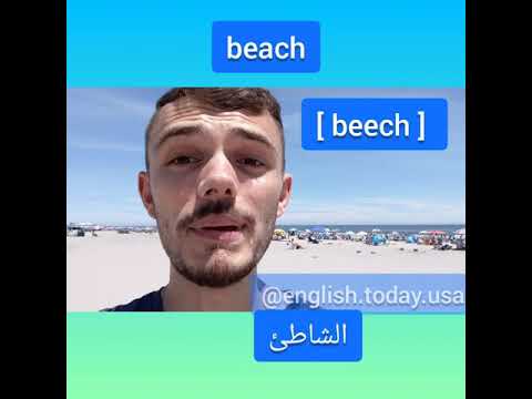   مفردات عن الشاطئ