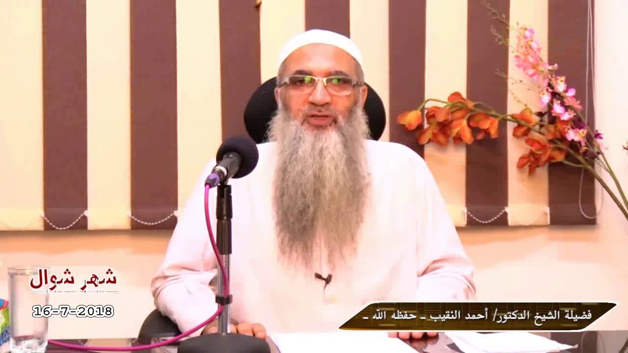 حقيقة حزب النور ؟