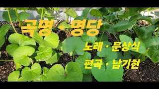 곡명 , 명당    .  (      노래  문상식      )     노래 교실 에서