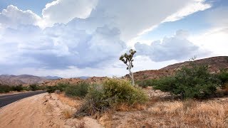 Explore southern california’s desert landscapes on this road trip
through quirky towns, joshua tree national park, and unique hotels.
more classic western ro...