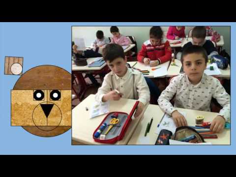 პროექტის ამსახველი ფოტომასალა