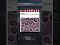 本当いつも感謝ですw #shorts#tiktok#Twitter#おもしろ#お笑い#おすすめ#白血球 #面白い#おもしろ動画#爆笑#バズれ