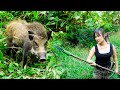 Detecting wild boar - craft some primitive traps.../ Bushcraft & Survival - Part 3