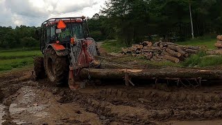 Ťažba dreva po nočnom daždi, Zetor mení farbu na hnedú 😀 Amles, Stihl ms 462, Ťažká práca v lese