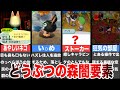 【ゆっくり解説】歴代どうぶつのもりの闇を感じる要素5選【黒い任天堂】part2