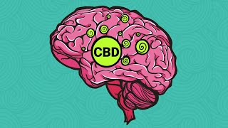 It's Time to Set the Record Straight, CBD is Psychoactive