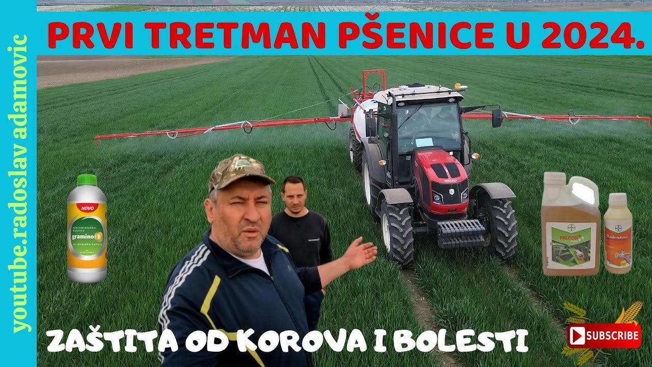 PRVI TRETMAN PŠENICE U 2024: ZAŠTITA OD KOROVA I BOLESTI ; FIRST WHEAT TREATMENT IN 2024