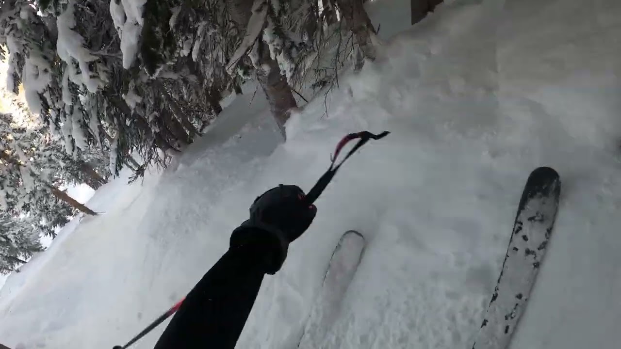 Steamboat 2/22 - Christmas Tree Bowl