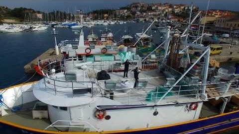 How to install BlueTraker VMS terminal?