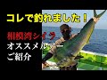 相模湾シイラキャスティング コレで釣れた！ オススメルアー