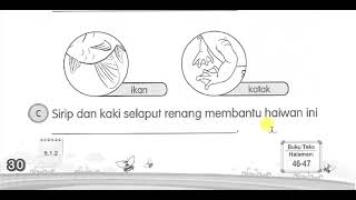 KEPENTINGAN BAHAGIAN TUBUH - BUKU AKTIVITI SAINS TAHUN 1 (MUKA SURAT 30 - 31)