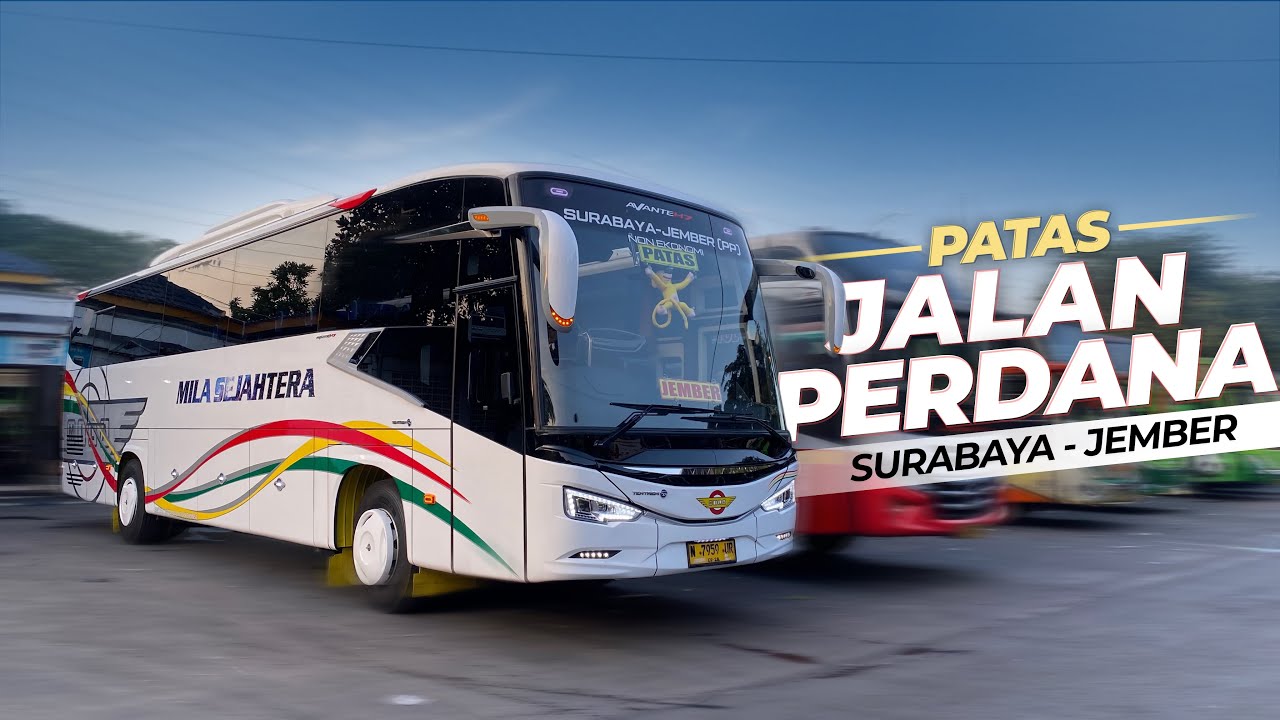 LINE PERDANA, BENER BENER DILUAR DUGAAN 😱TERNYATA PENUMPANGNYA SE.....⁉️ Trip Mila Surabaya Jember