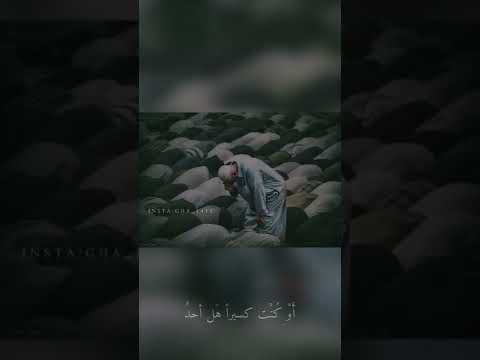 الله يناديك س حيرا قم واسأل ياعبدالله