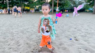 Monkey Kaka and Diem went to the beach with mom to relieve stress