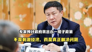 专家预计政府将出台一揽子政策——不是刺激经济，而是真正解决问题