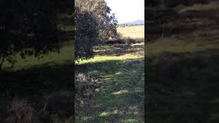 Finca rústica | AgroAnuncios.es
