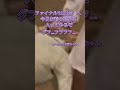 ストーカーから手紙来た人