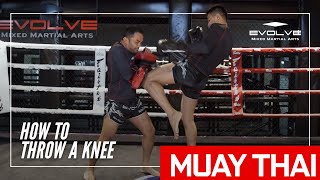 Muay Thai | How To Throw A Knee