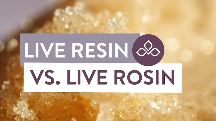 Cannabis Concentrates Explained: Live Resin vs. Live Rosin | Central Ave Compassionate Care