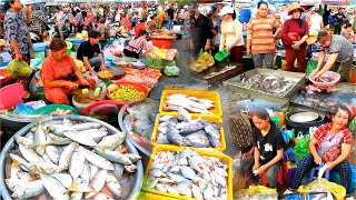 Amazing Fish Market Activities. Fish, Shrimp, Squid, Lobster, Frog. Cambodian Fish Market