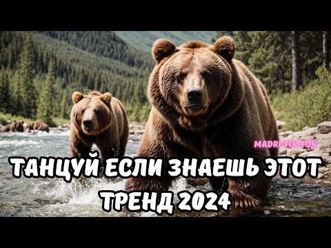 💗ТАНЦУЙ ЕСЛИ ЗНАЕШЬ ЭТОТ ТРЕНД 2024💗