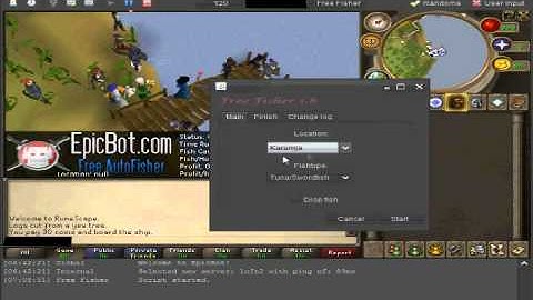 Epicbot Setup Tutorial Free Runescape Bot!