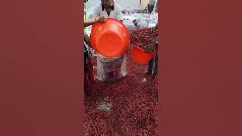 red chilli packing procedure  #redchillies #food #redchilli #exporter #short #viral